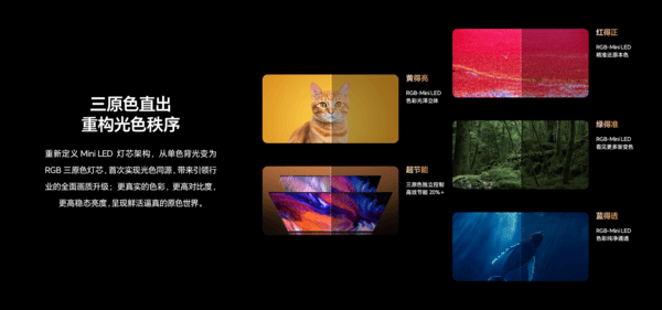 世俱杯落下帷幕 海信百吋电视为观众留下“中国印象”