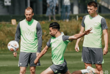 开云体育海登海姆 VS 沃尔夫斯堡