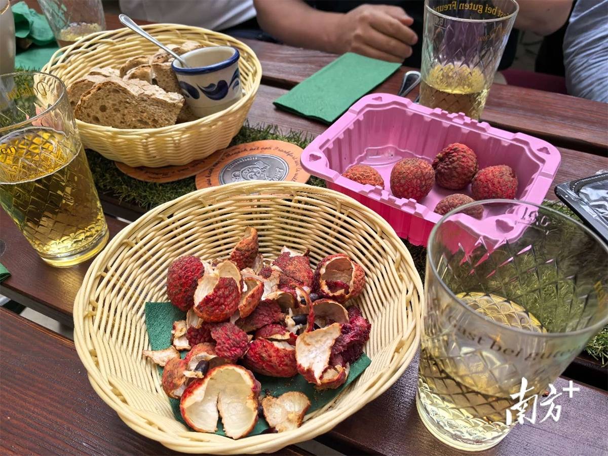 在德国法兰克福，茂名荔枝“甜蜜邂逅”文成杨梅