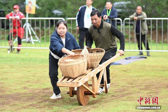 开云体育下载陕西省农民丰收节体育健身活动启幕 体育赋能乡村振兴